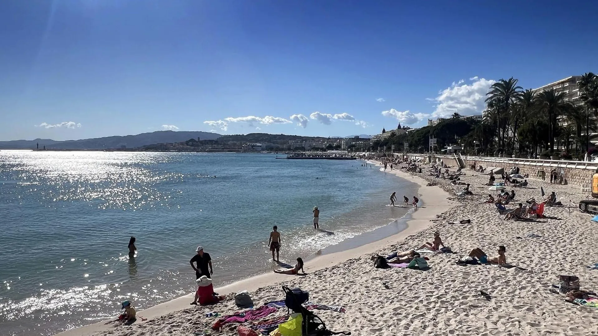 Apt With Terrace In Cannes 5 Min From The Beach
